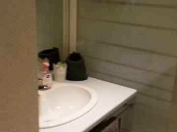 Logement Entier Lyon 133539-5