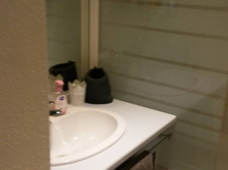 Ganzes Haus Lyon 133539-5