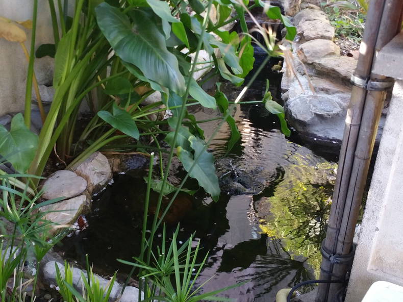 Entire Home Saint-Victoret 200101-3