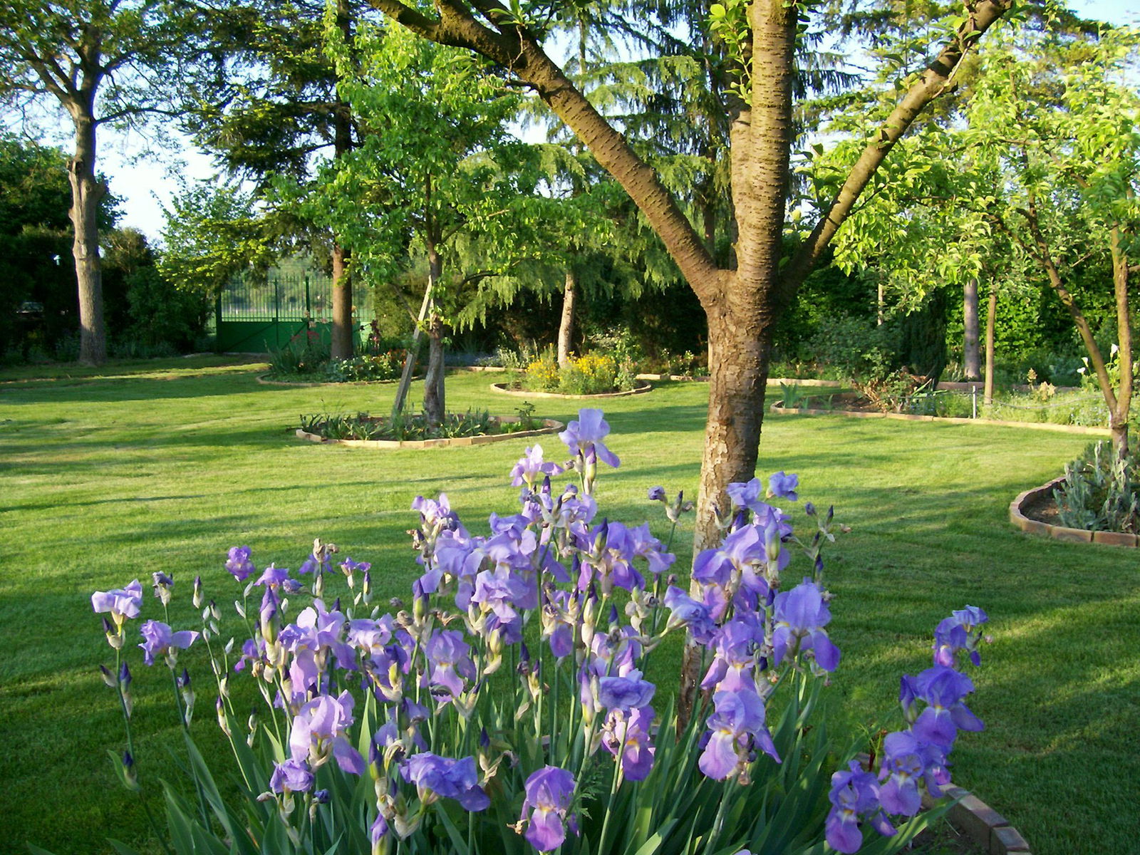 Homestay Balagny-sur-Thérain 158505