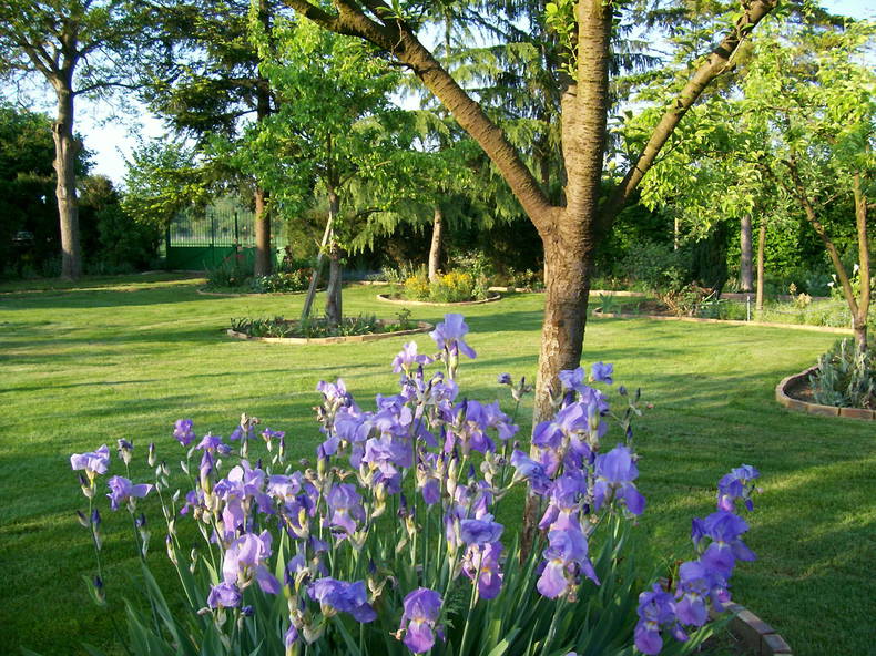 Homestay Balagny-sur-Thérain 158505-4