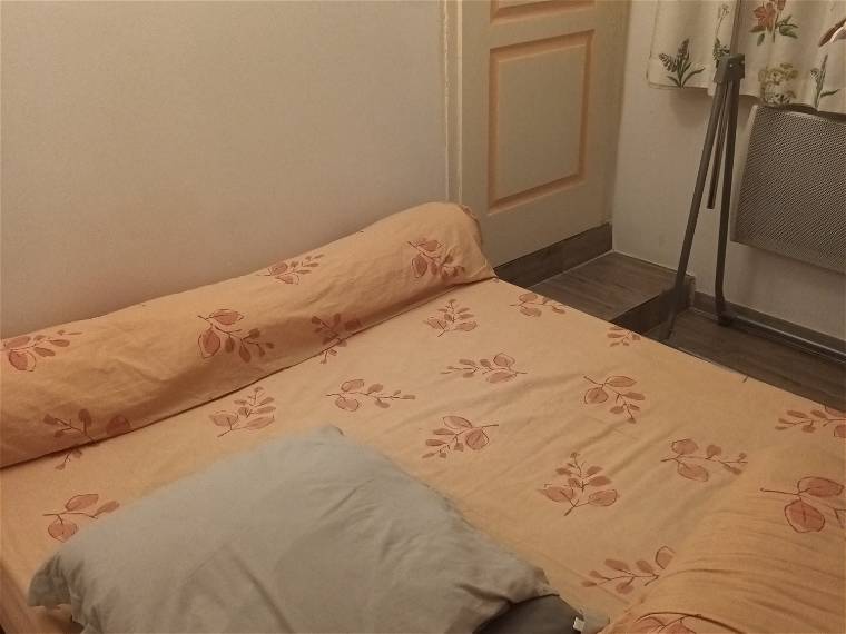 Homestay Saint-Avit-Saint-Nazaire 334118