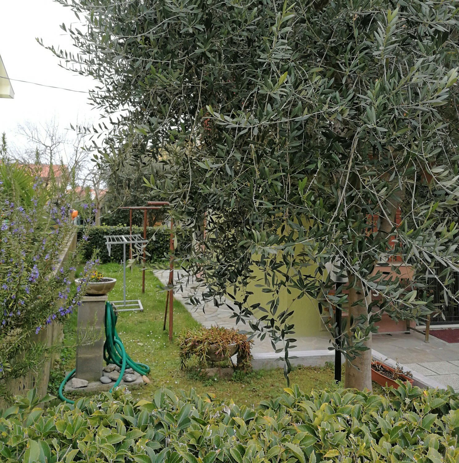 Oberoende Studio Marotta 198841