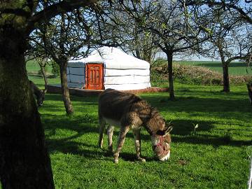 Roomlala | Gäste-Jurte In Einem Ehemaligen Bauernhof