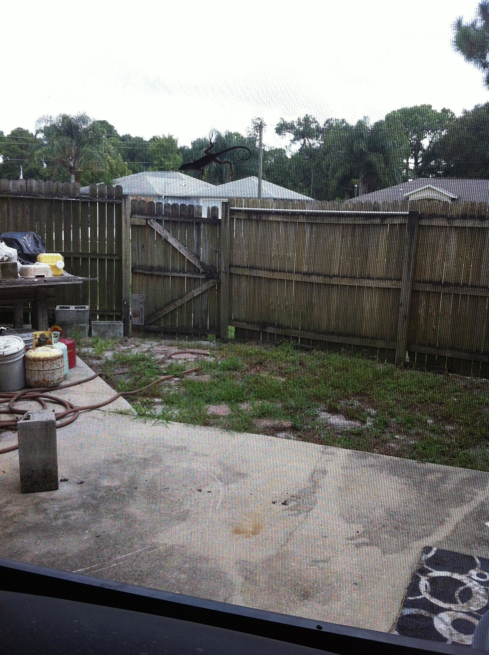 Gæsteværelser Cocoa 111924