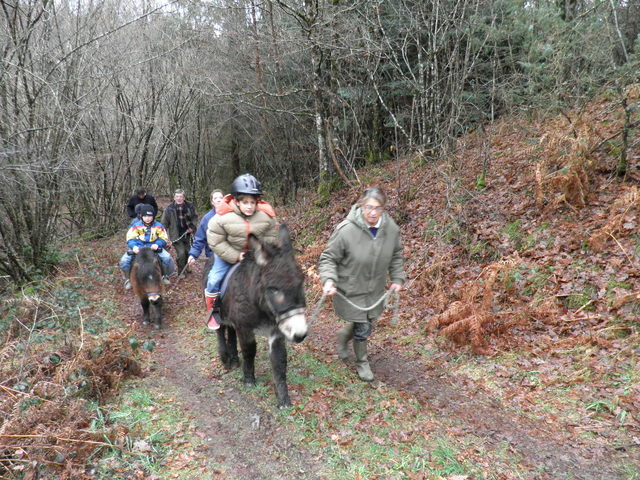 Gästezimmer Soursac 5359