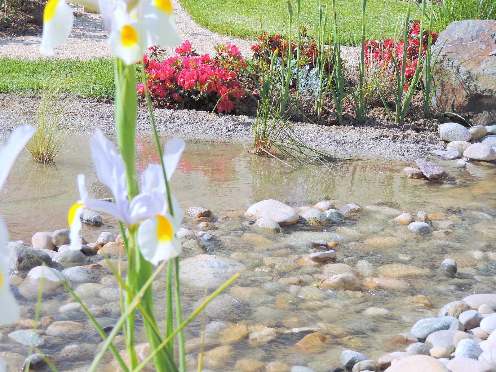 Gastfamilie Betton 244878