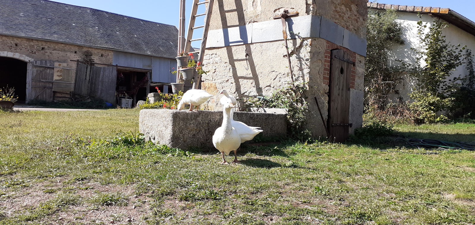 Gastfamilie La Motte-Ternant 251447