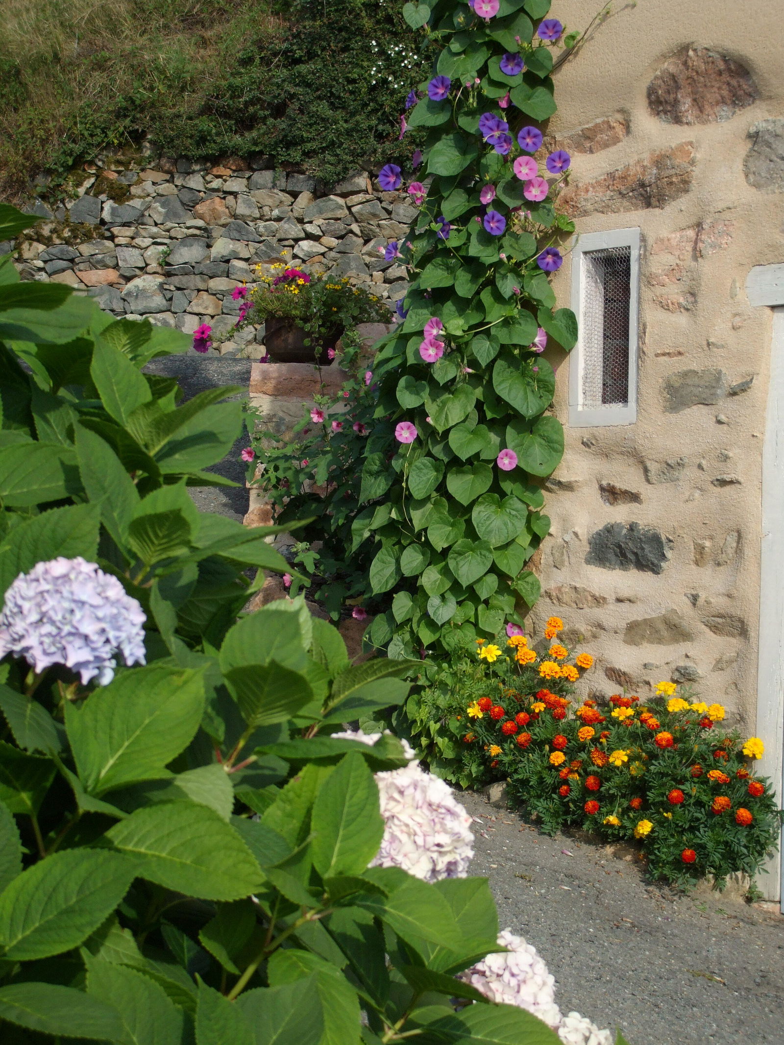 Gästezimmer Saint-Appolinaire 81882