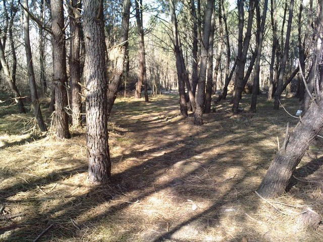 Gästezimmer Bergerac 36596