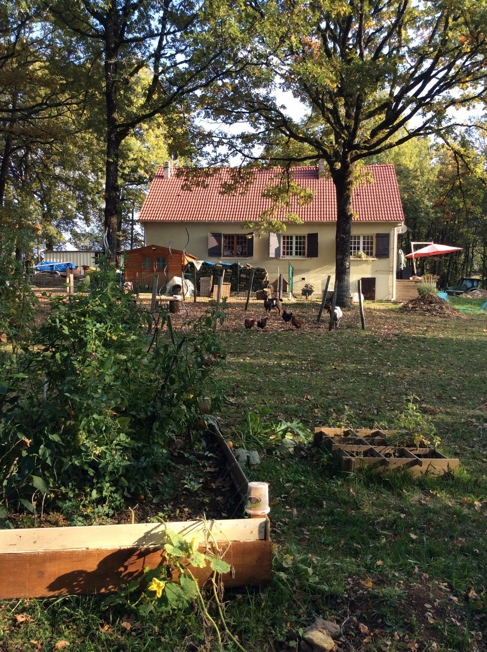 Gästezimmer Borrèze 194638