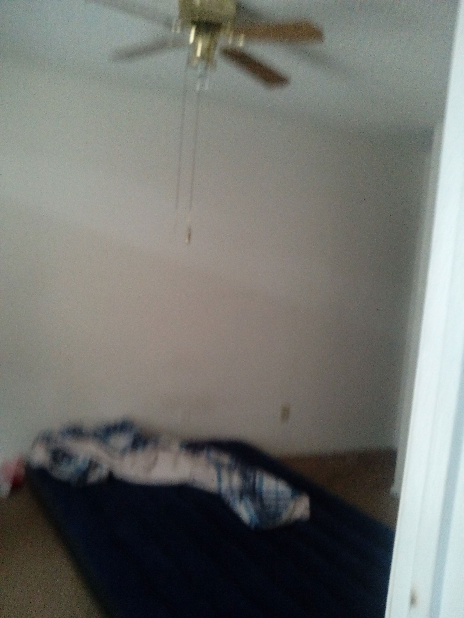 Gastfamilie Lewisville 136336