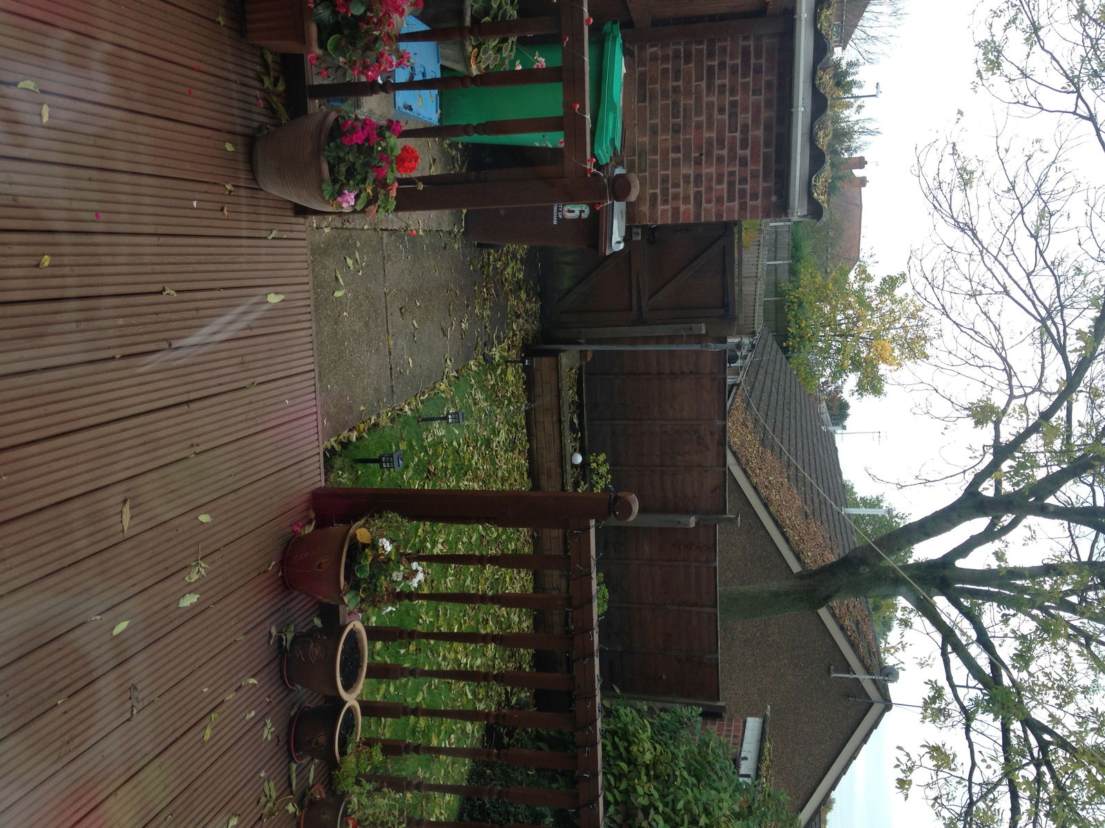 Gastfamilie Nottingham 139217