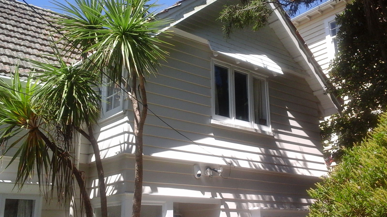 Gastfamilie Wellington 138314