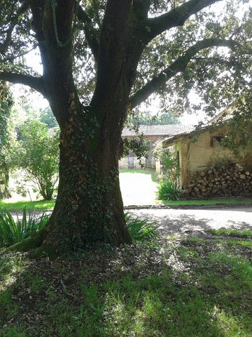 Gästezimmer Dému 60778