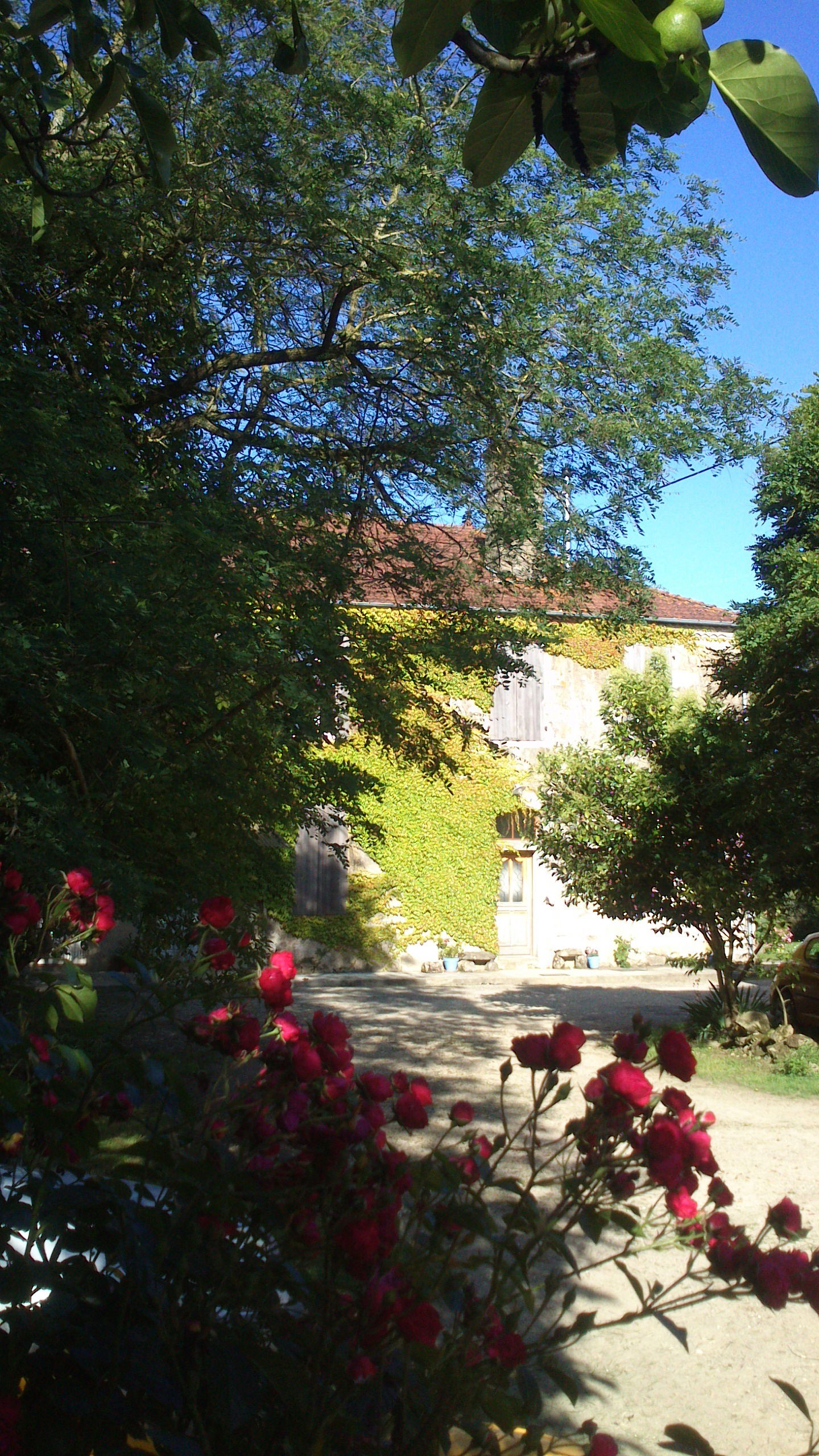 Gästezimmer Dému 60778