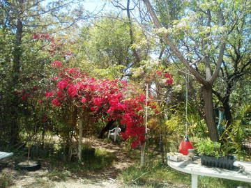 Chambre D'hôte Faro 206597-9