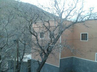 Gastfamilie Essaouira 64698