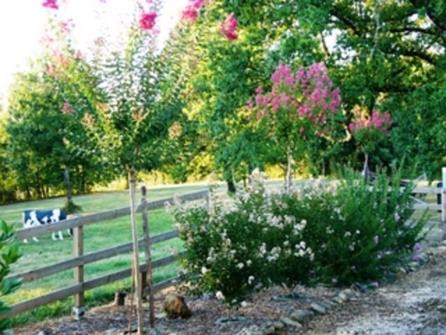 Gästezimmer Chemazé 57221