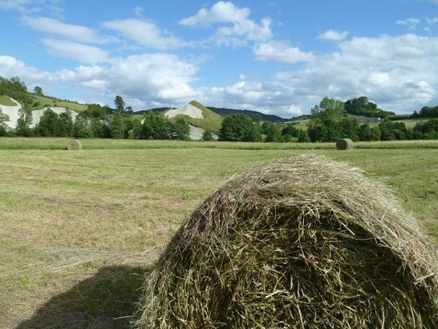 Gästezimmer Polignac 28232