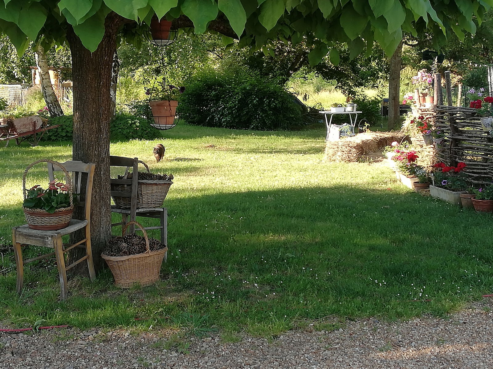 Homestay Chaveignes 223422