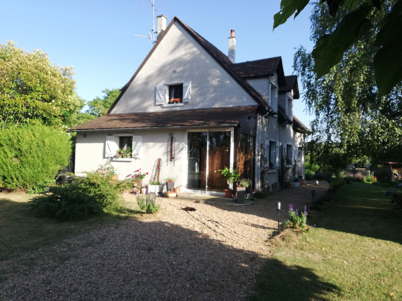 Gastfamilie Chaveignes 223422