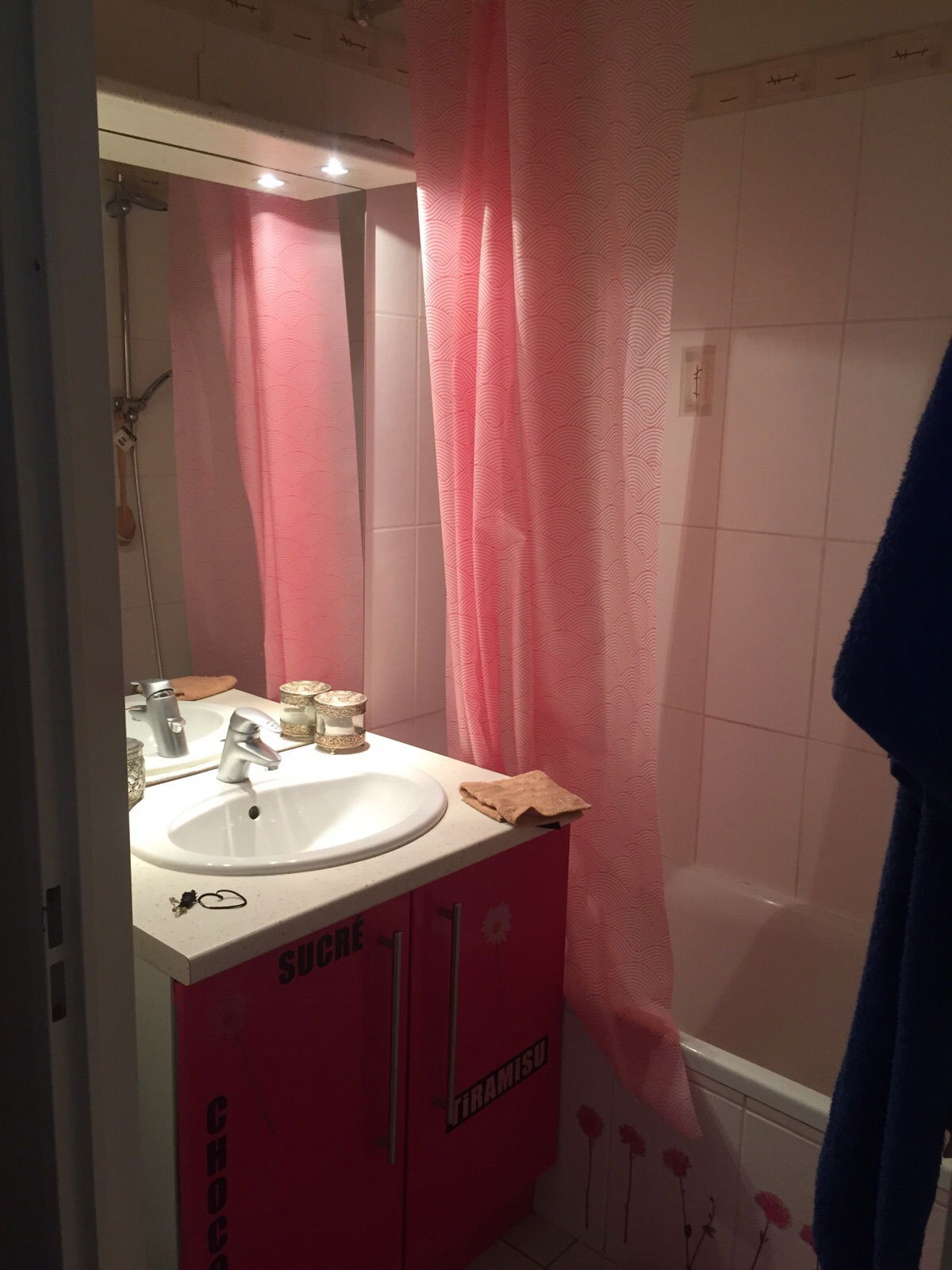 Colocatie Bordeaux 158851