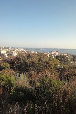 Oberoende Studio Cannes 54309