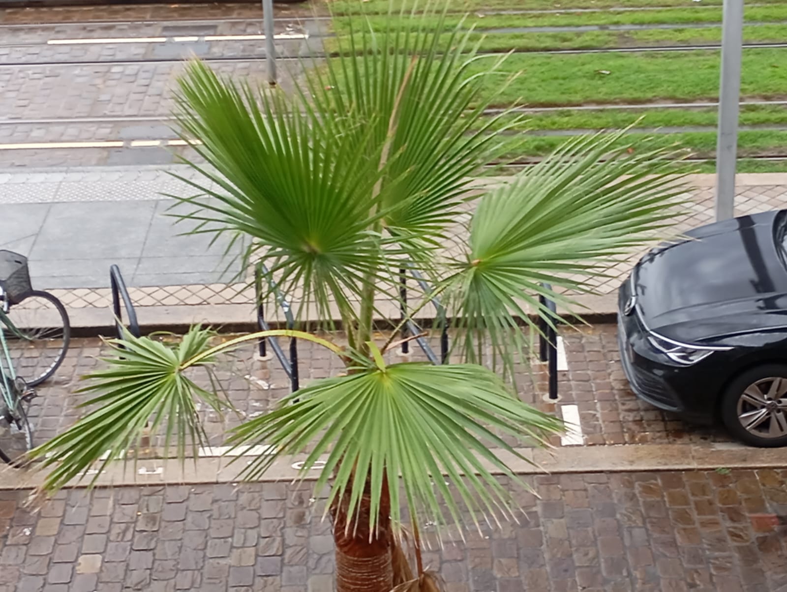 Colocation Bordeaux 425607