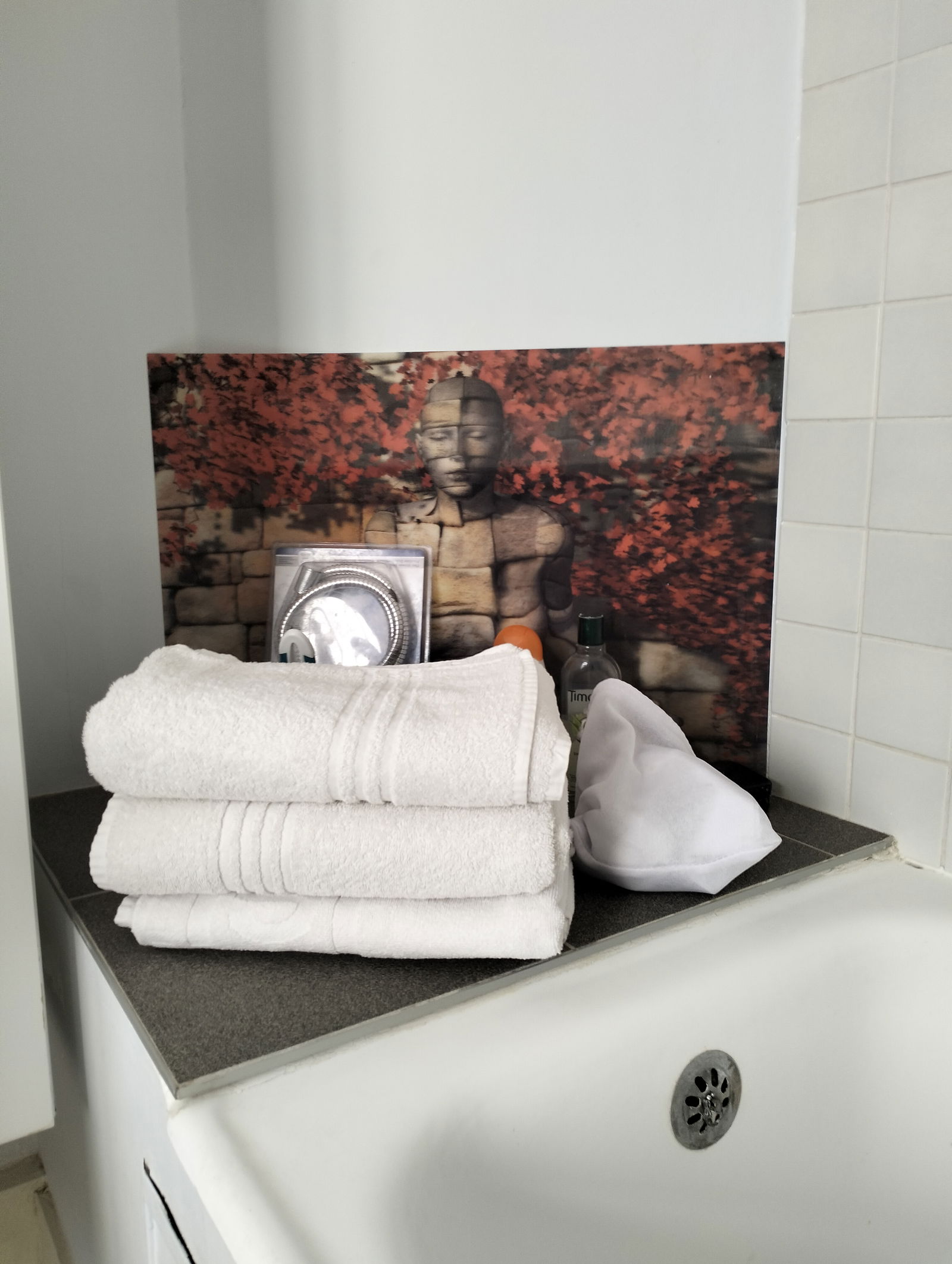 Ganz Haus Uccle 383151