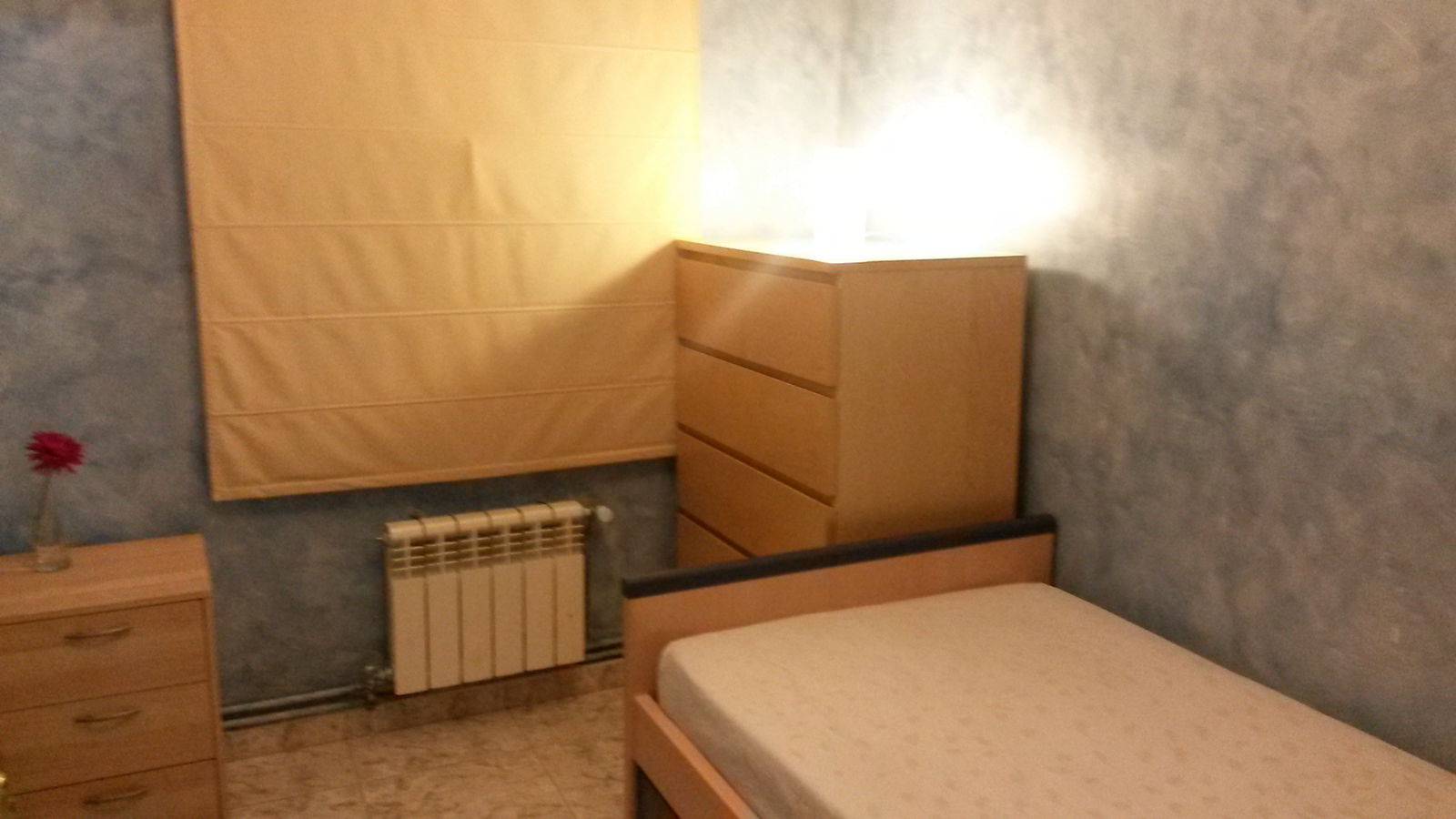 Homestay Sabadell 98235