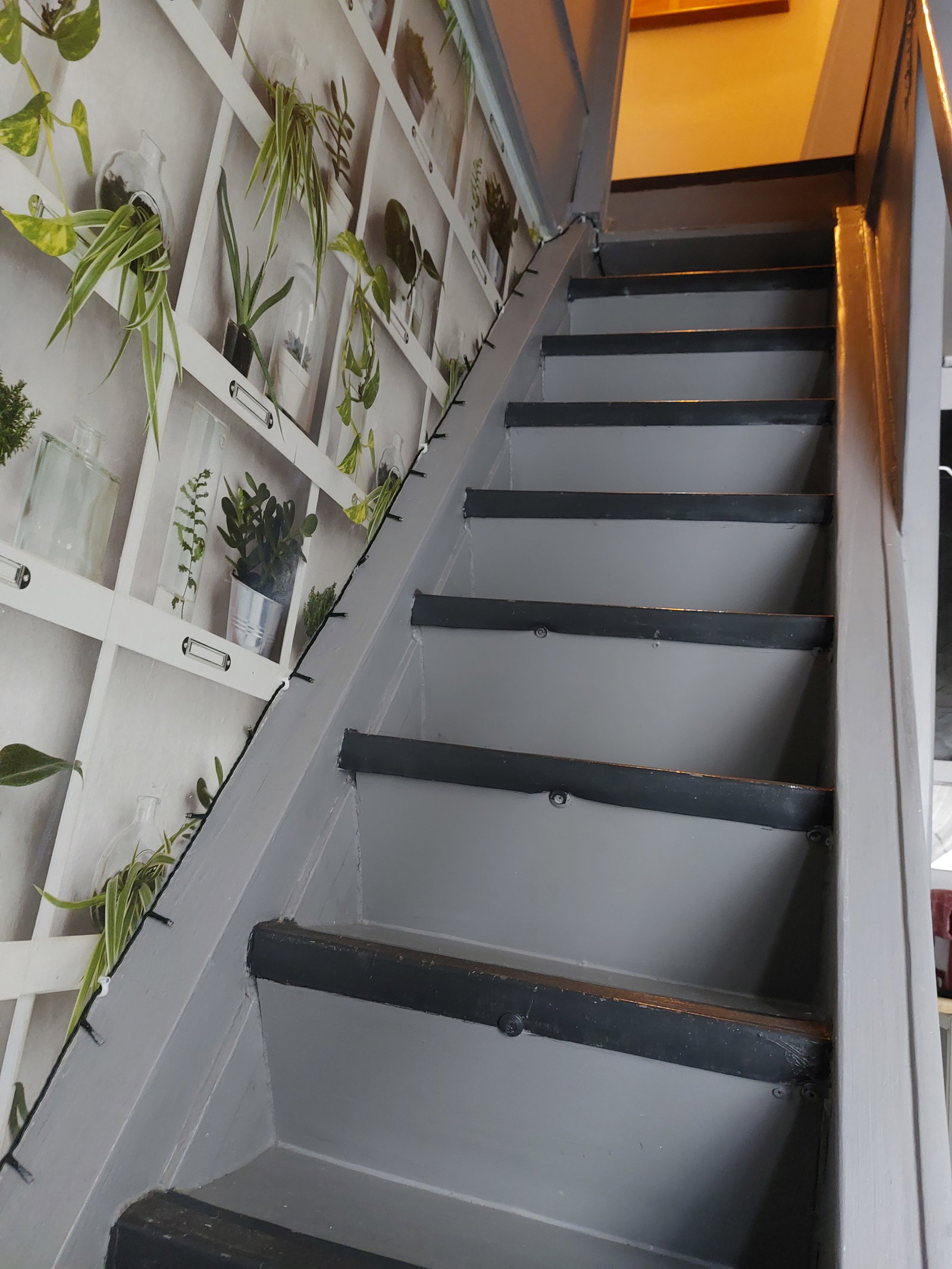 Homestay Paris 589231