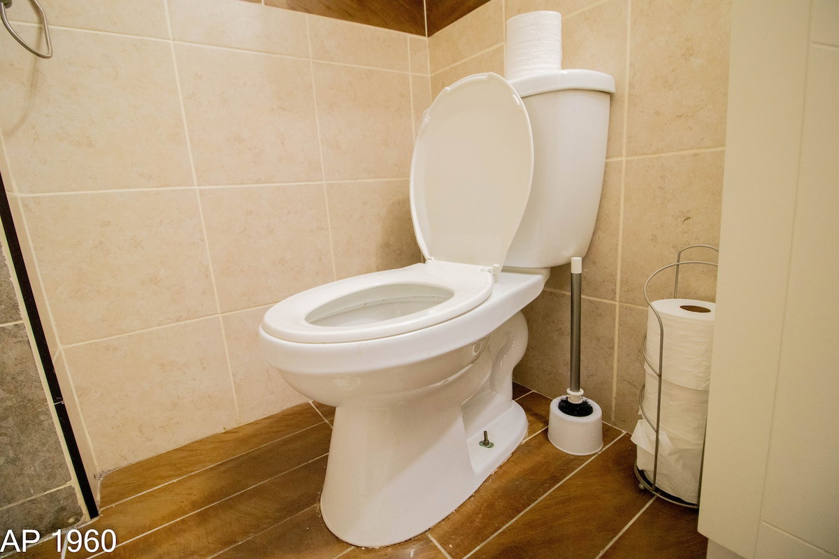 Homestay Montréal 664866