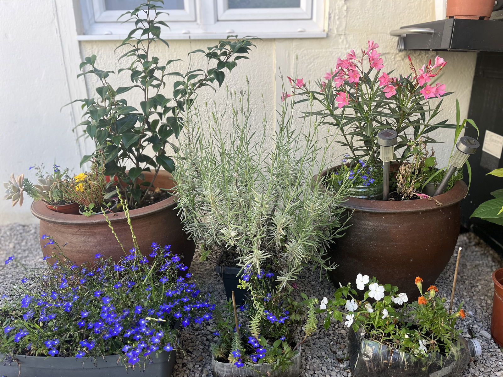 Ganz Haus Athis-Mons 266786