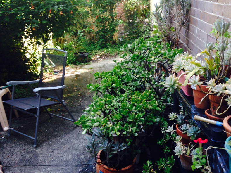 Colocation Darling Point 128194-2