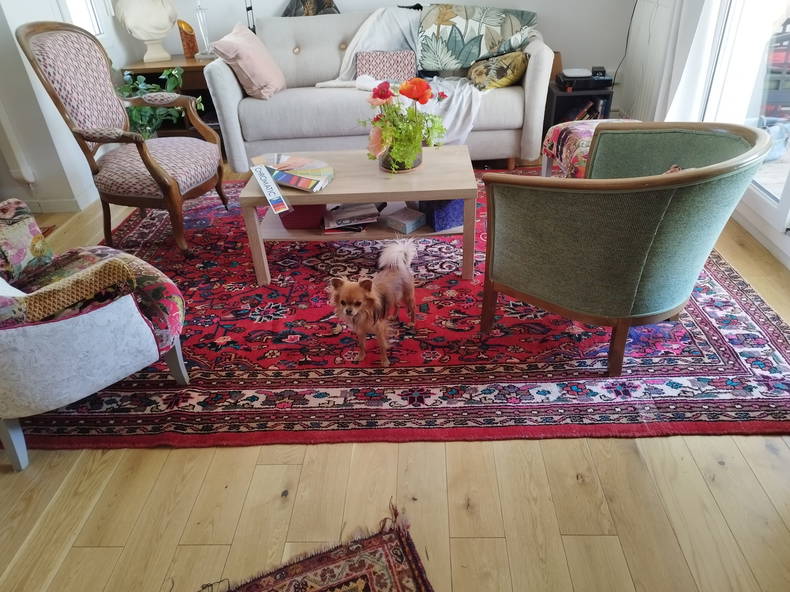 Homestay Vénissieux 355810-1