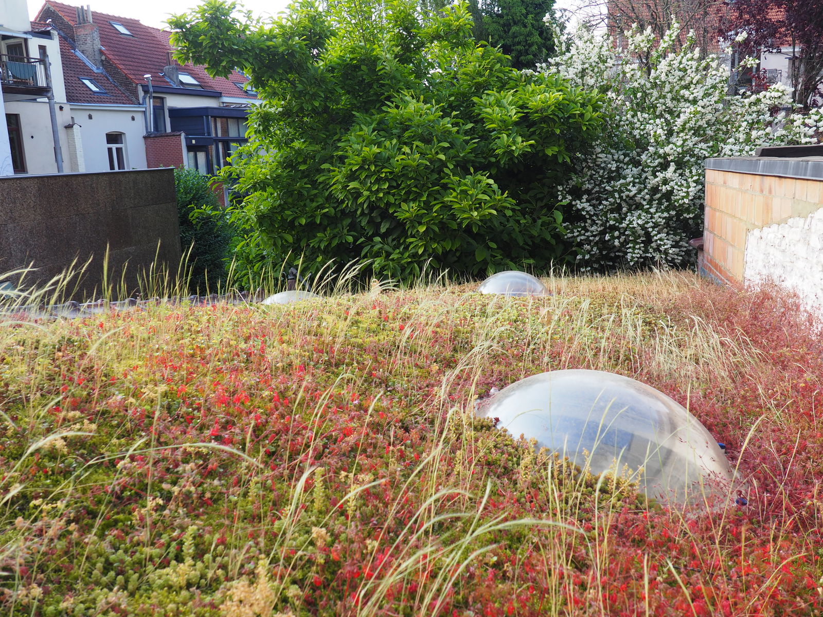 Homestay Etterbeek 494046