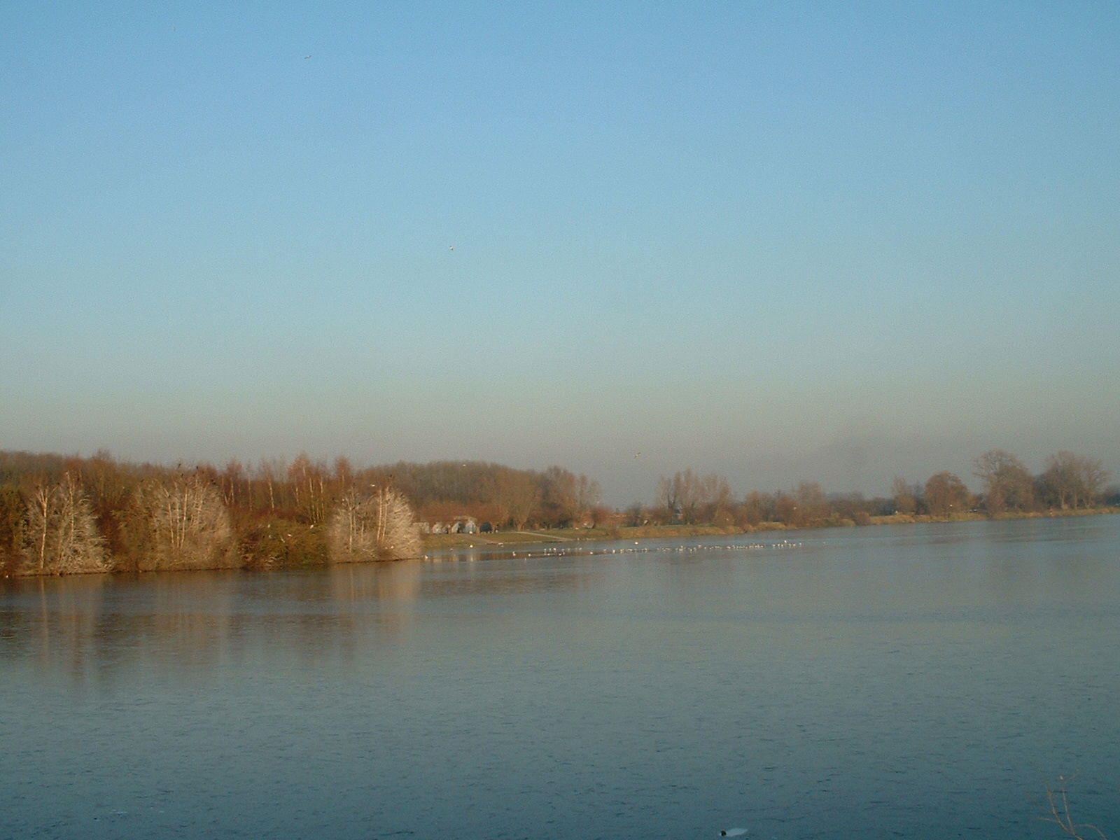 Gastfamilie Villeneuve-d'Ascq 242688