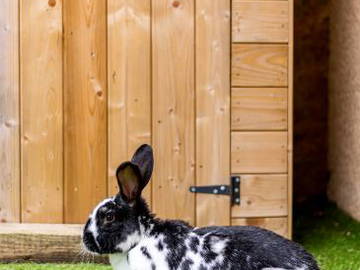 Chambre Chez L'habitant Soucieu-En-Jarrest 249868-17