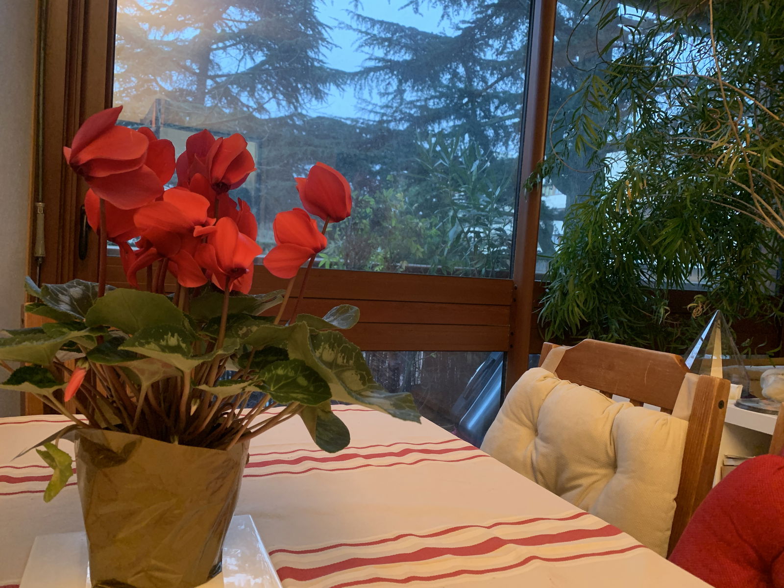 Homestay La Celle-Saint-Cloud 156744