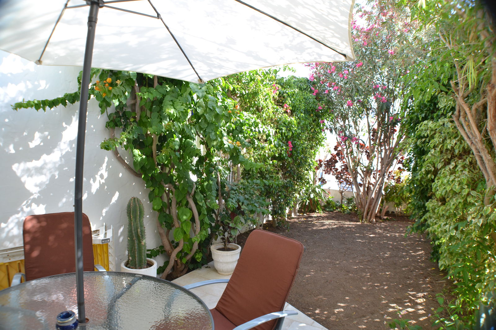 Unabhängiges Studio San Bartolomé de Tirajana 231461