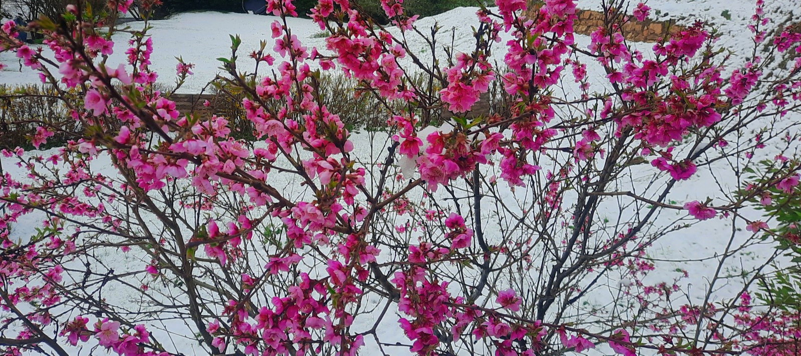 Tuisverblyf Saint-Franc 428711