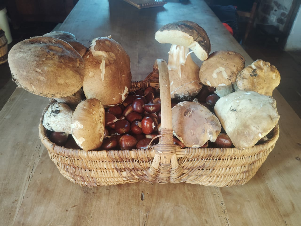 Gastenkamer Saint-Christophe 668248