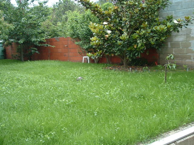 Gastfamilie Le Mans 15185