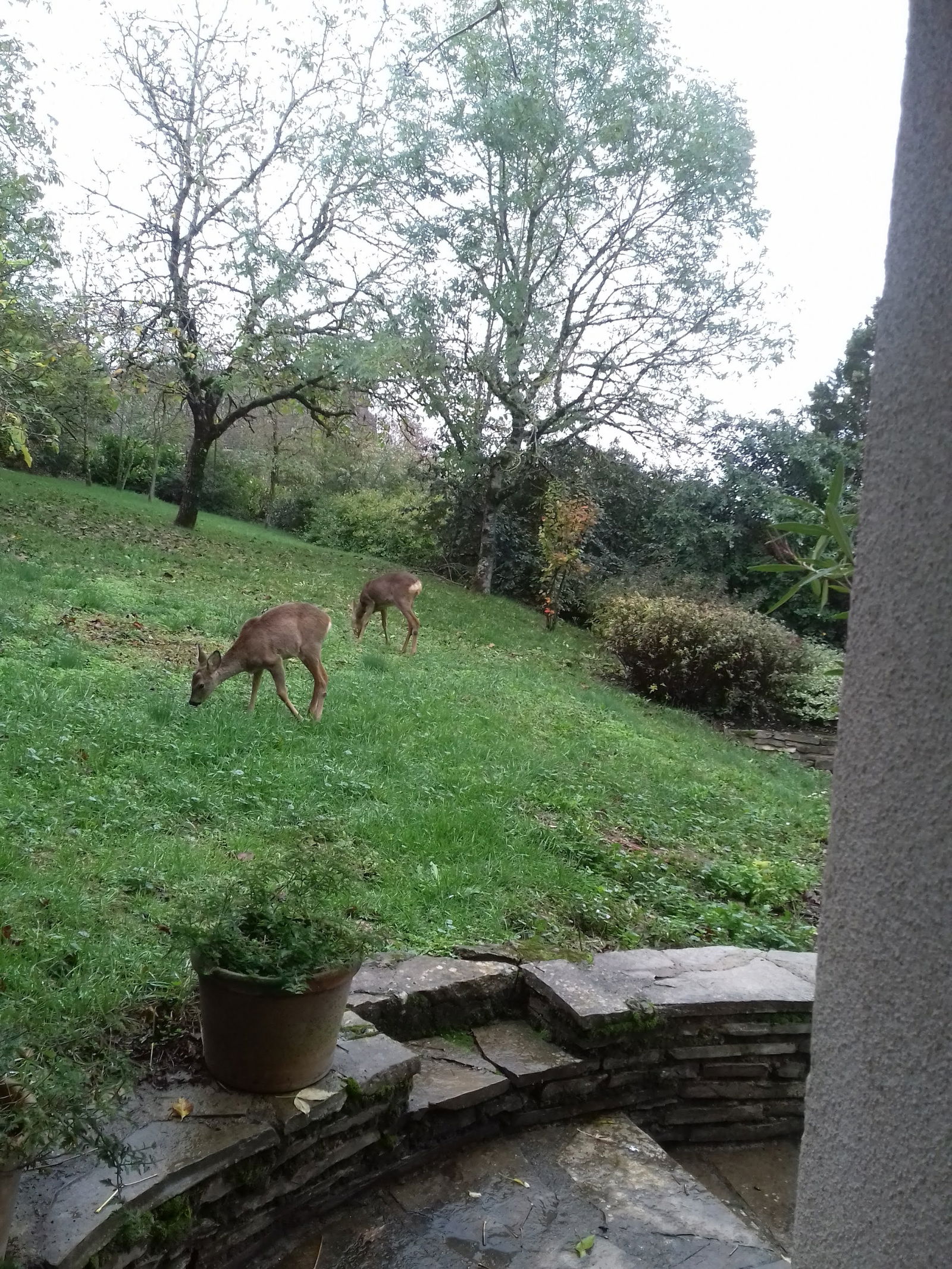 Gastfamilie Carayac 29986