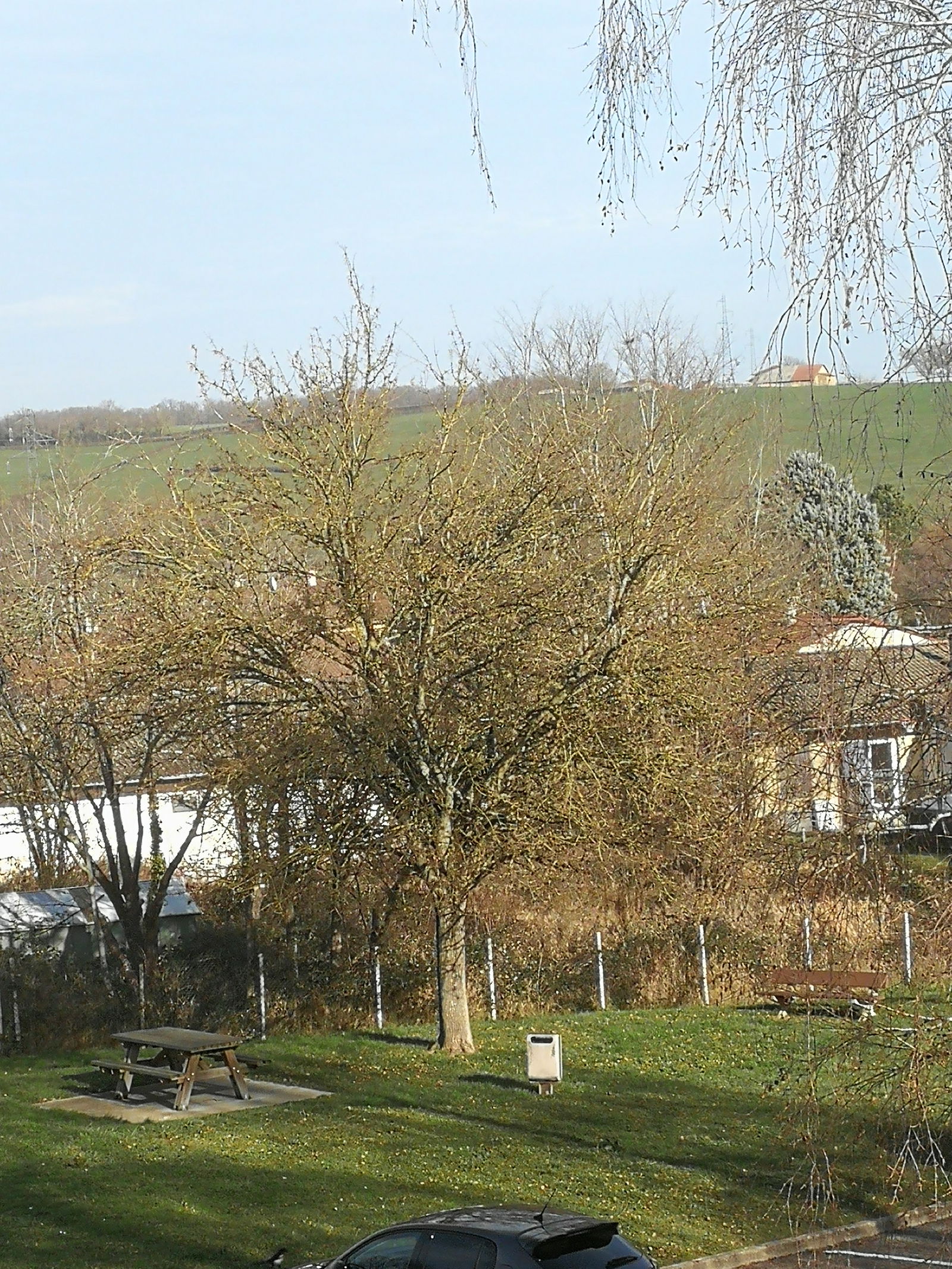 Gastfamilie Charlieu 106880