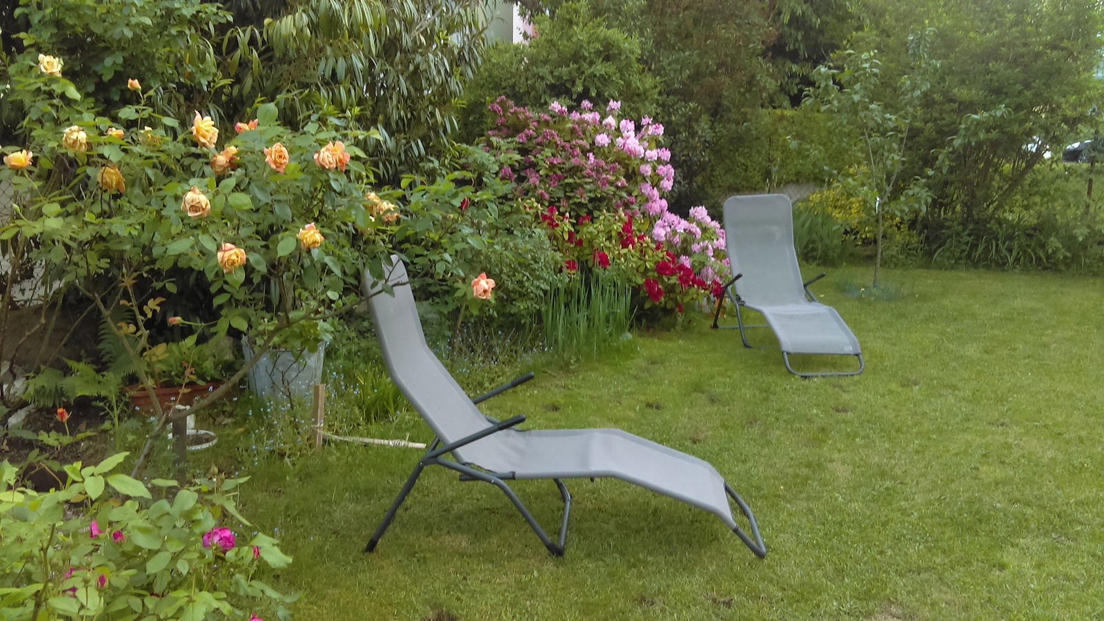 Gastfamilie Belfort 196570