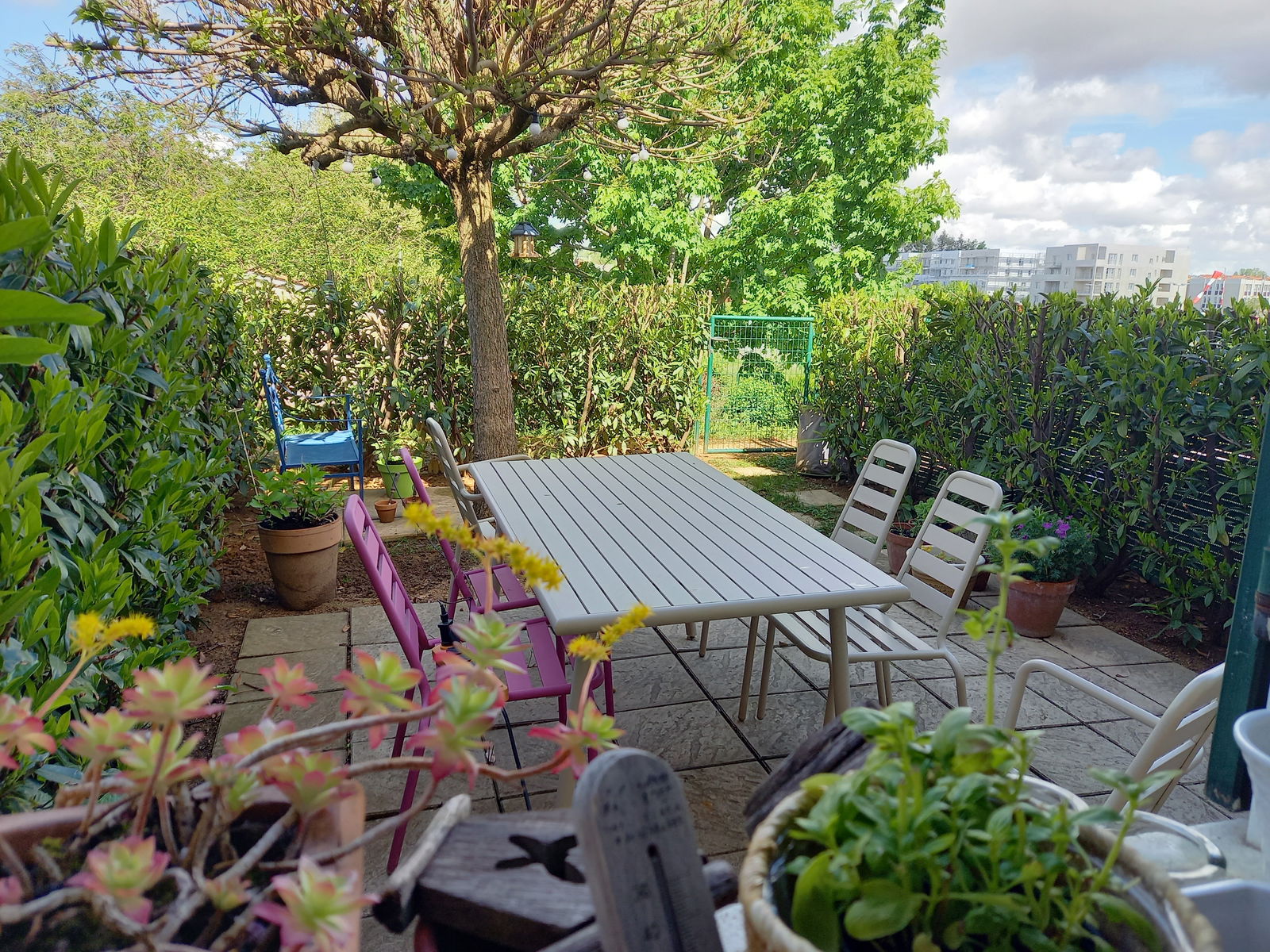 Gastfamilie Charnay-lès-Mâcon 244955