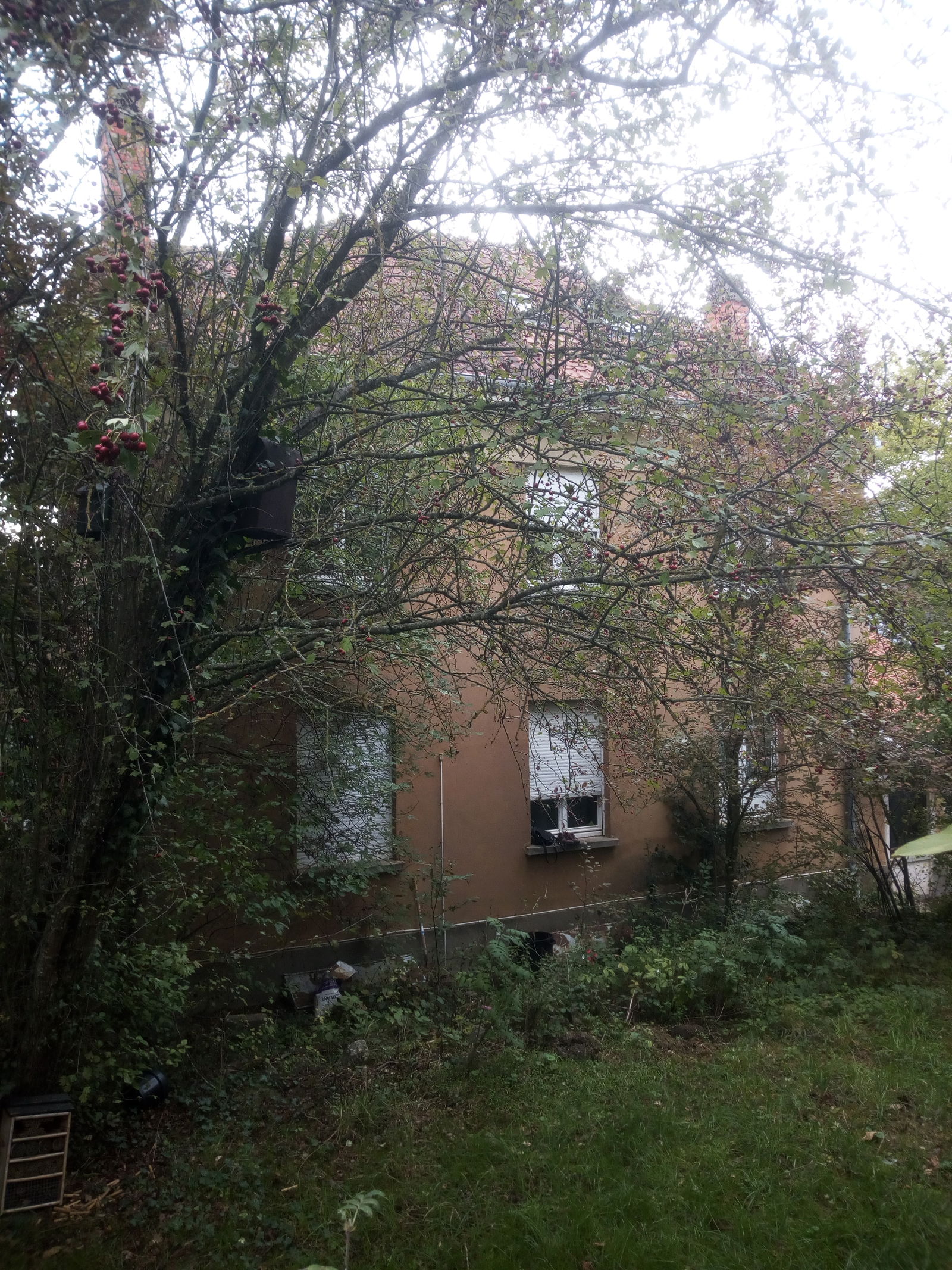 Gastfamilie Dombasle-sur-Meurthe 266076