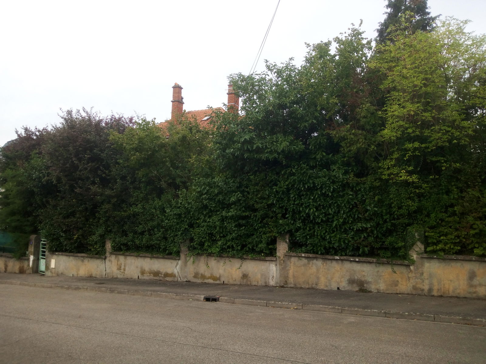 Gastfamilie Dombasle-sur-Meurthe 266076